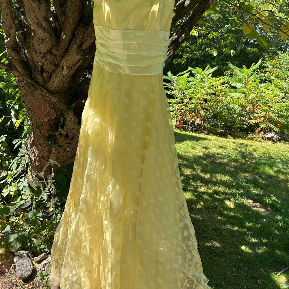 Masquerade Yellow Polka Dot Maxi Dress